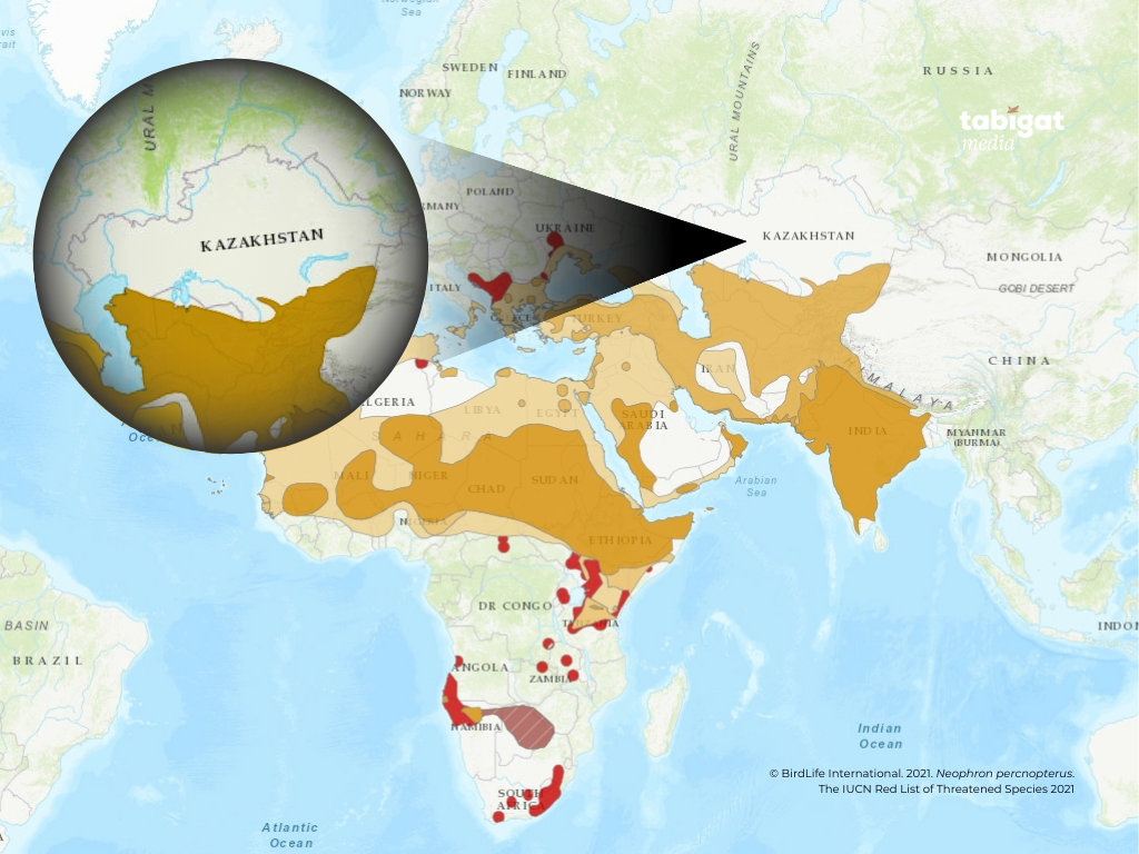 Вукуда алғаш рет анальді секс туралы бейнелер